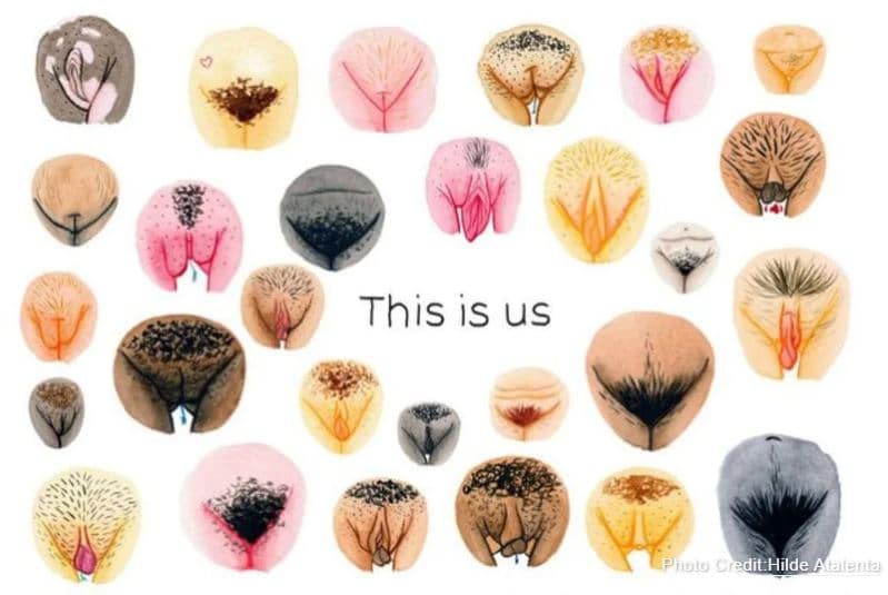 vagina-pic