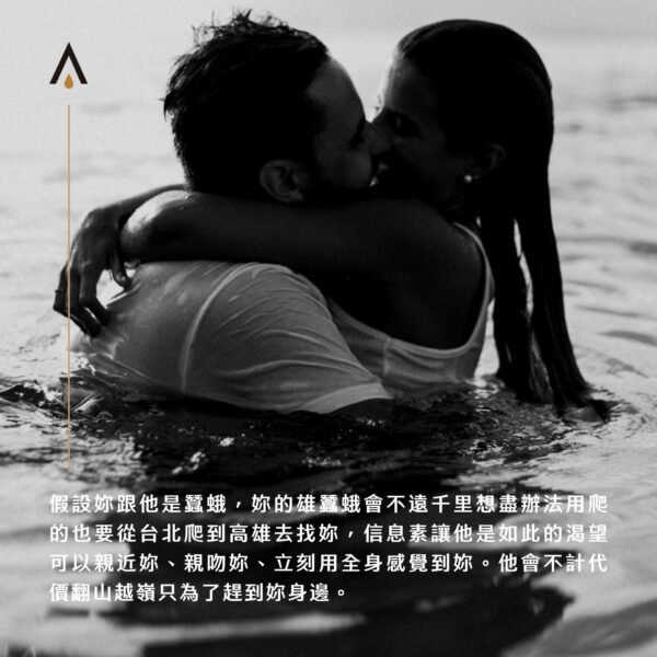 費洛蒙對性吸引力的影響