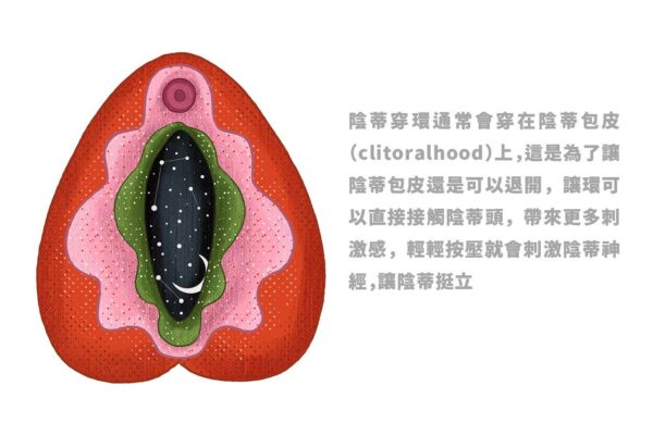 陰蒂穿環可以帶來特殊的刺激感，但不是所有人都敢嘗試