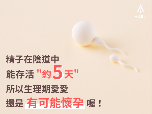 生理期愛愛可能會懷孕
