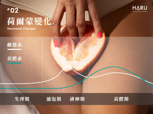 黃體素與雌激素如何影響女生的性慾