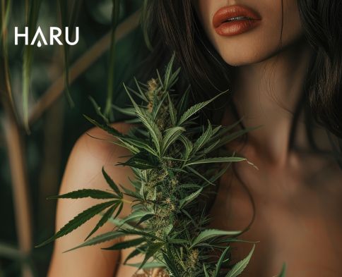 春藥之王 大麻與潤滑液的結合