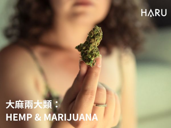 這兩類大麻 雖然外觀相似 作用卻大不為同