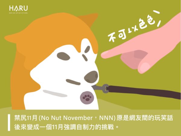 禁尻11月的由來
