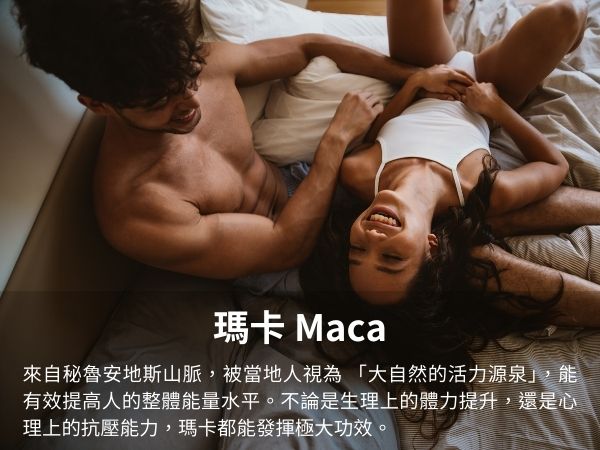 瑪卡maca是什麼